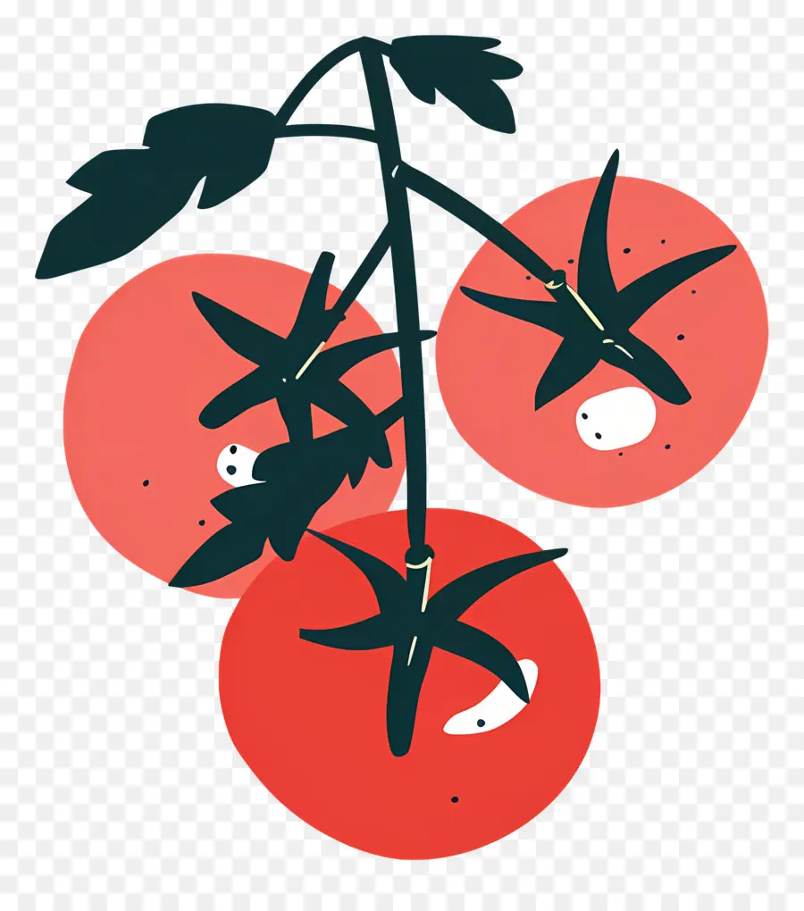 Los Tomates，Tomate PNG