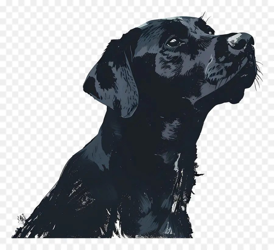 Perro，Perro Negro PNG