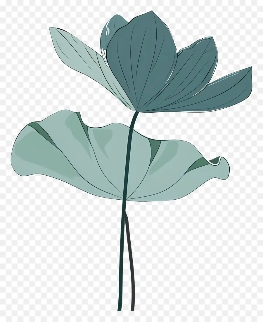 La Hoja De Loto，Flor De Loto PNG