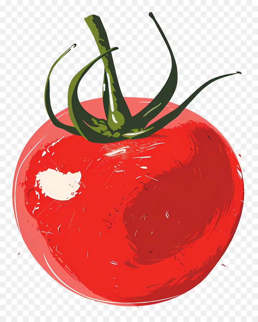 Tomate，Rojo PNG