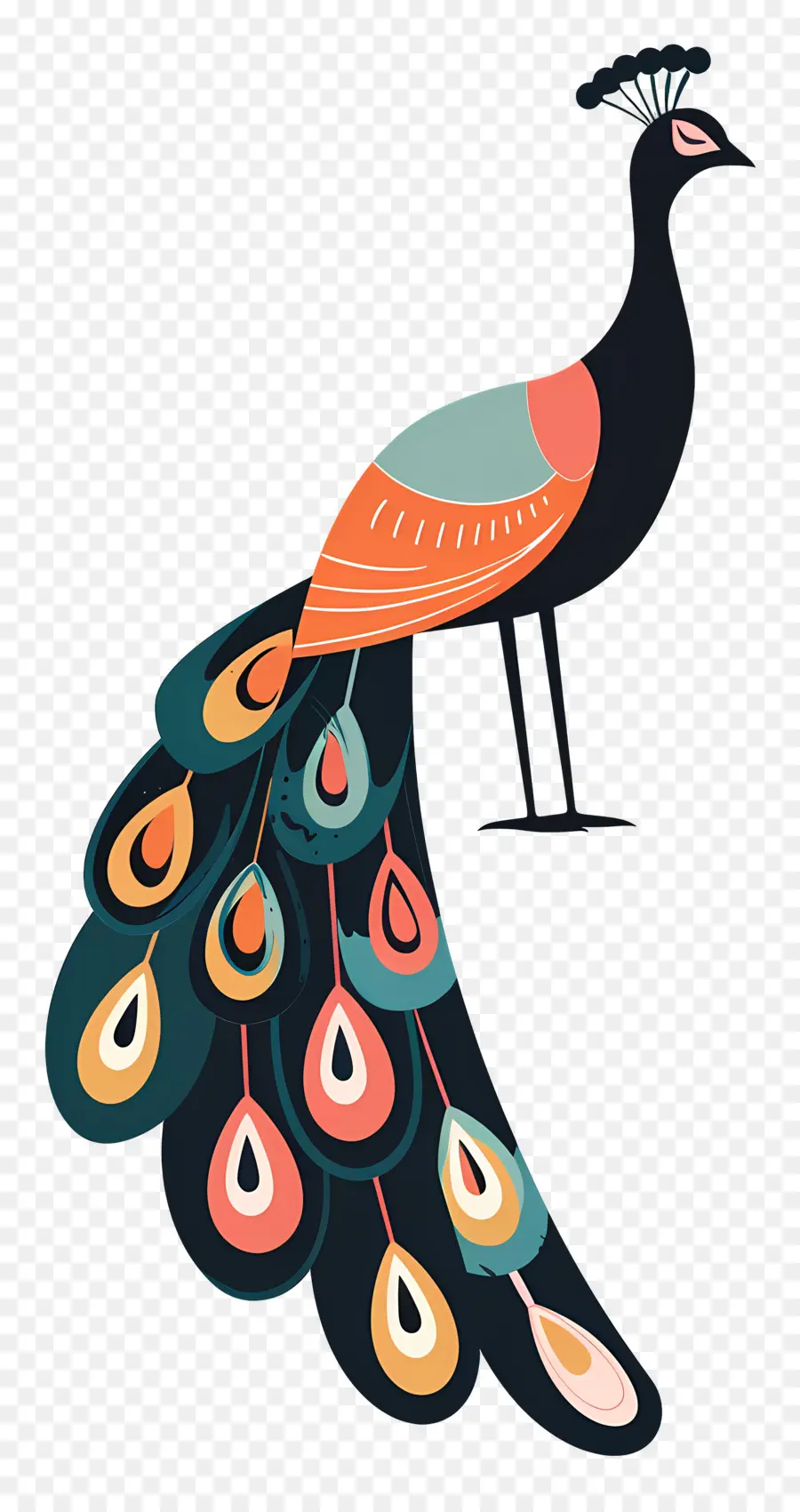 Pavo Real，Plumas PNG