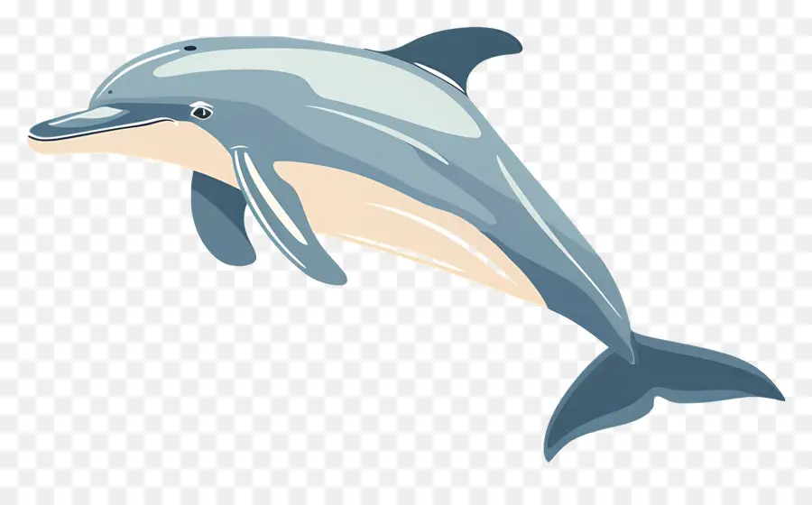 De Dibujos Animados De Los Delfines，Delfín PNG