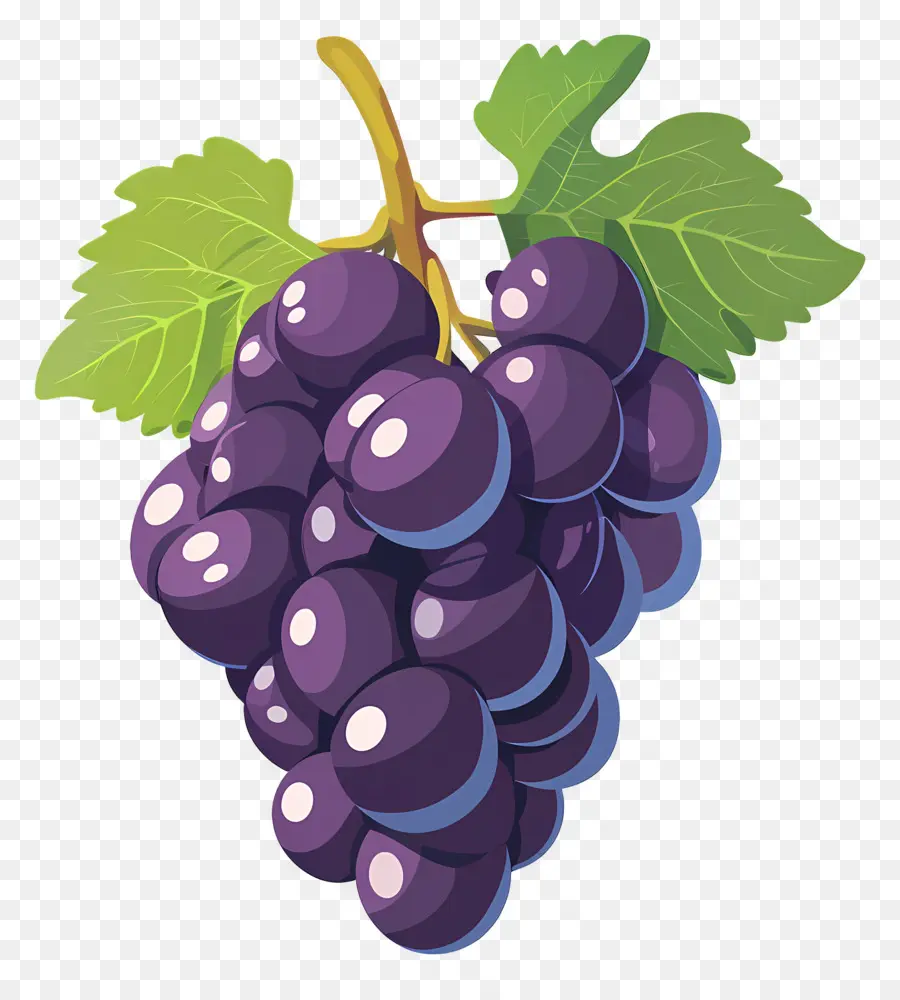 Uva，Uvas Moradas PNG