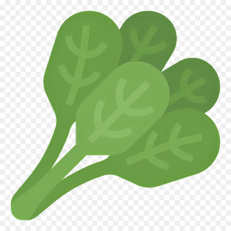 Espinacas，Brócoli PNG