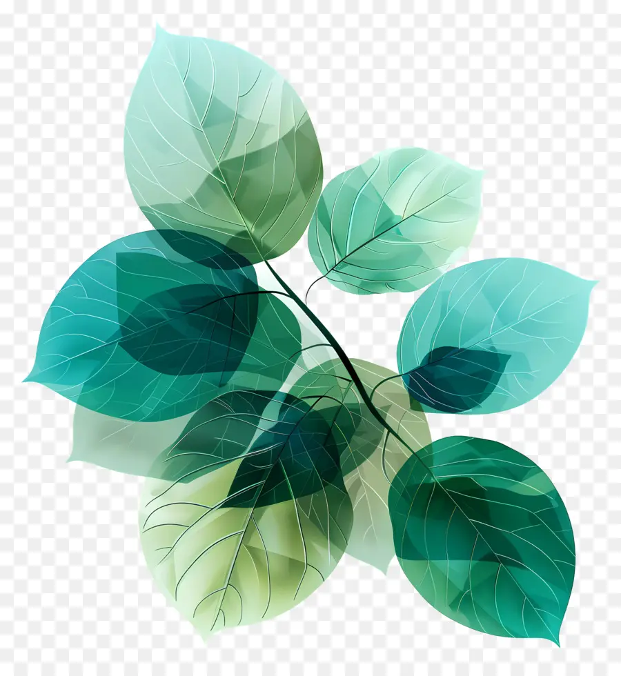 Hojas Verdes，Naturaleza PNG