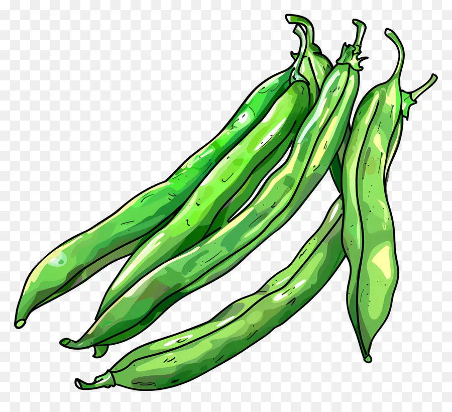 Judías Verdes，Los Frijoles PNG