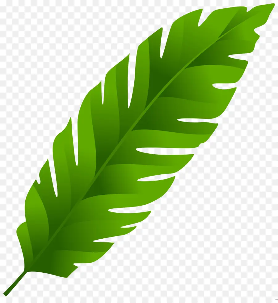 Hojas Verdes，Planta Verde PNG