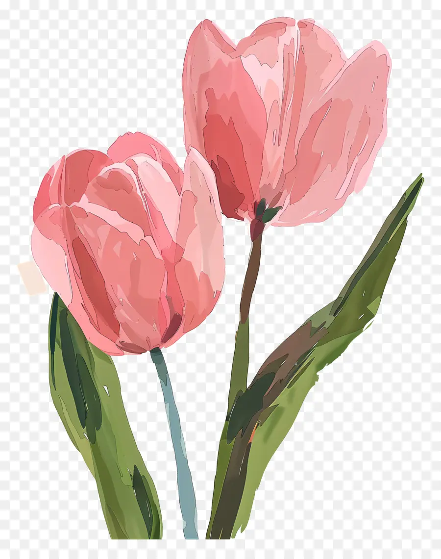 Tulipanes Rosados，Tulip Bouquet PNG