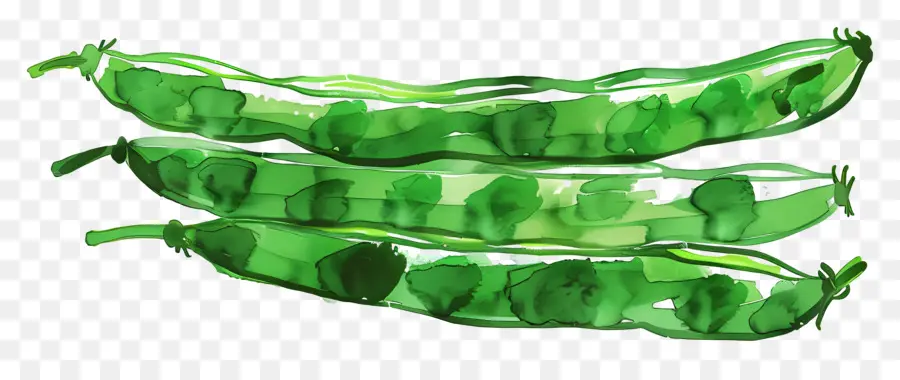 Judías Verdes，Los Frijoles PNG