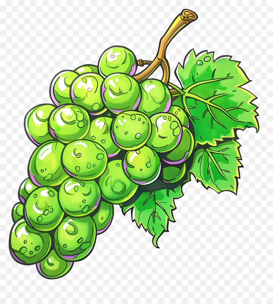 Uvas Verdes，Vid PNG