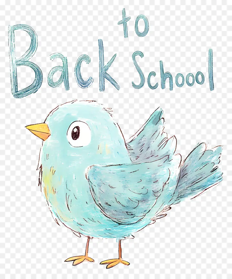 De Regreso A La Escuela，Aves PNG