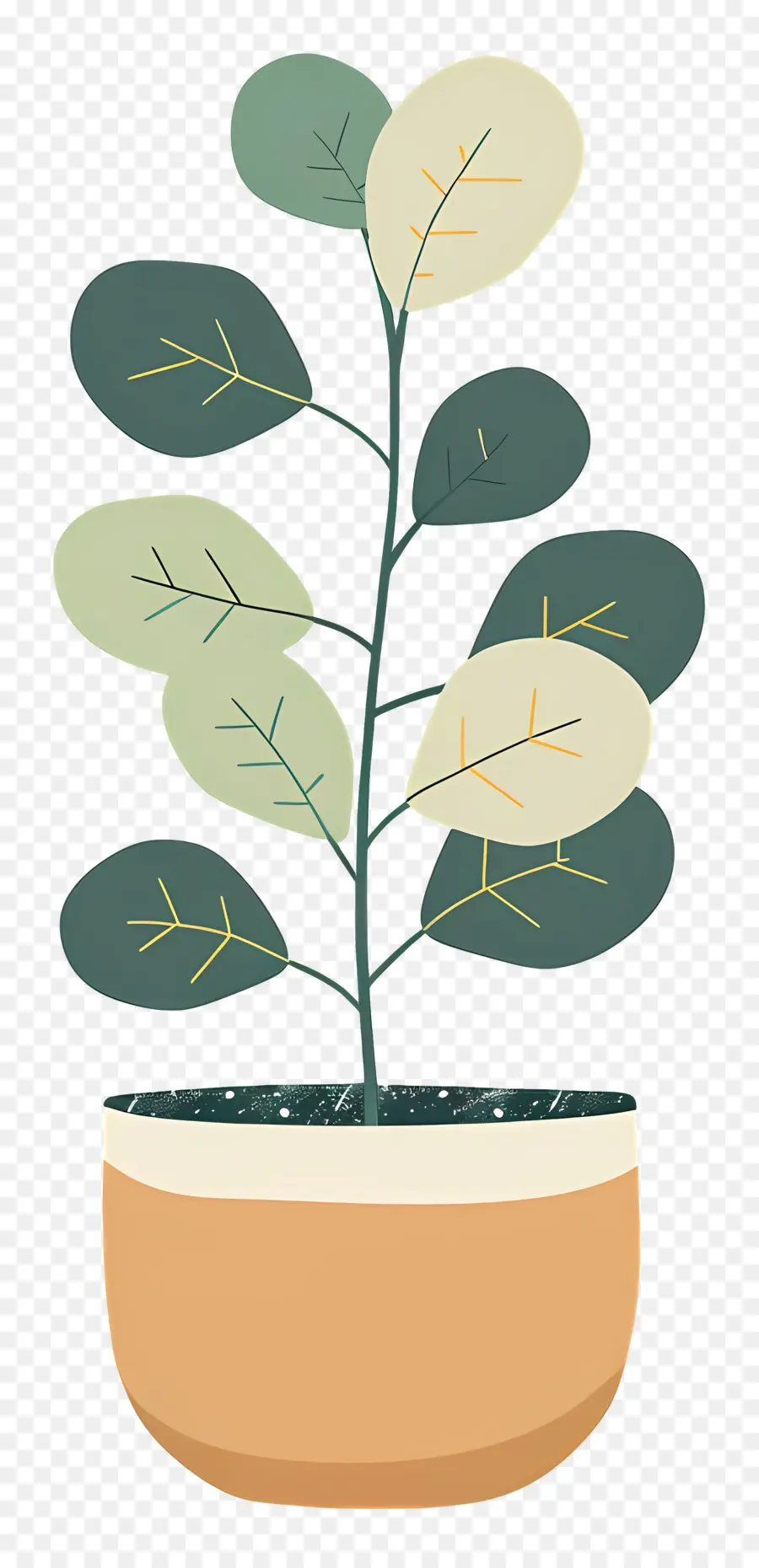 Planta De Interior，Planta En Maceta PNG