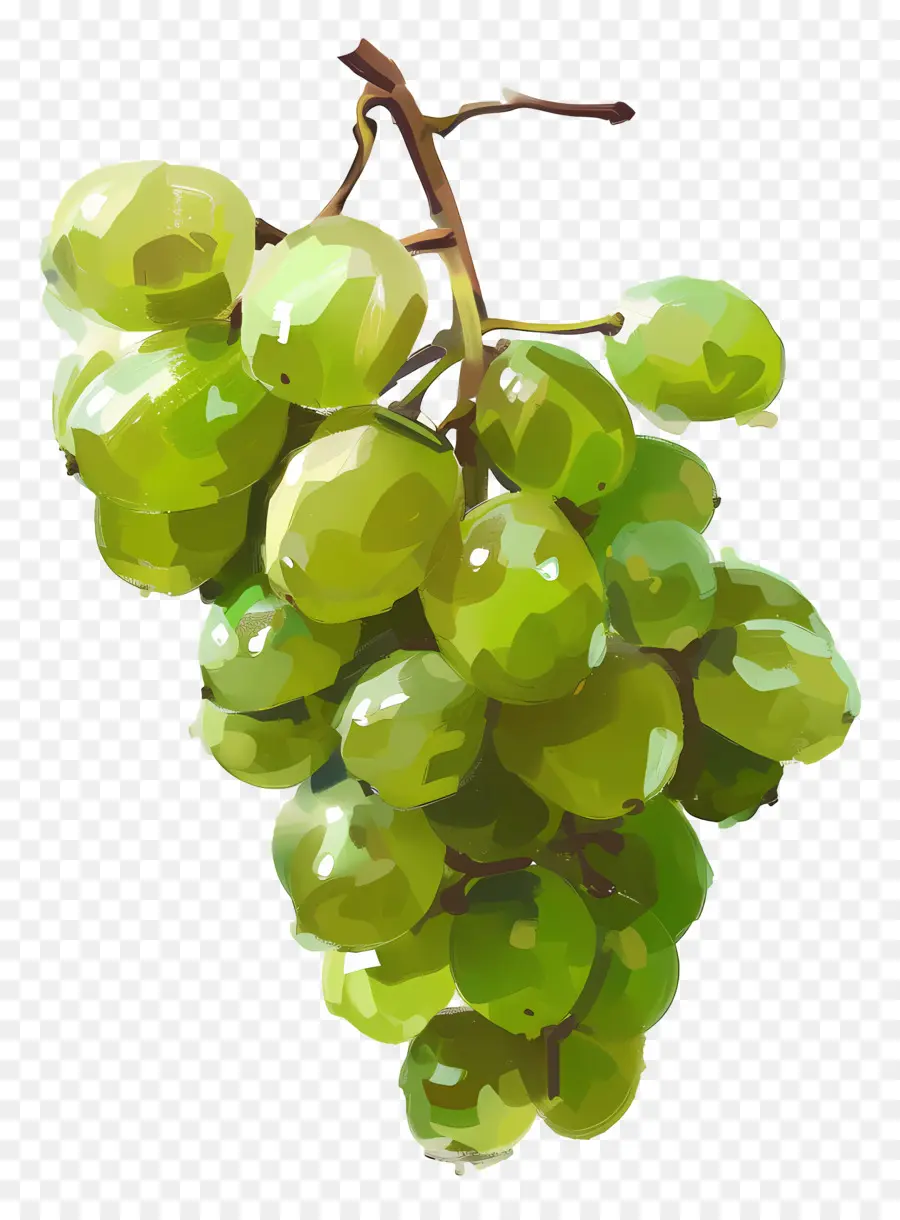 Uvas Verdes，Uvas PNG