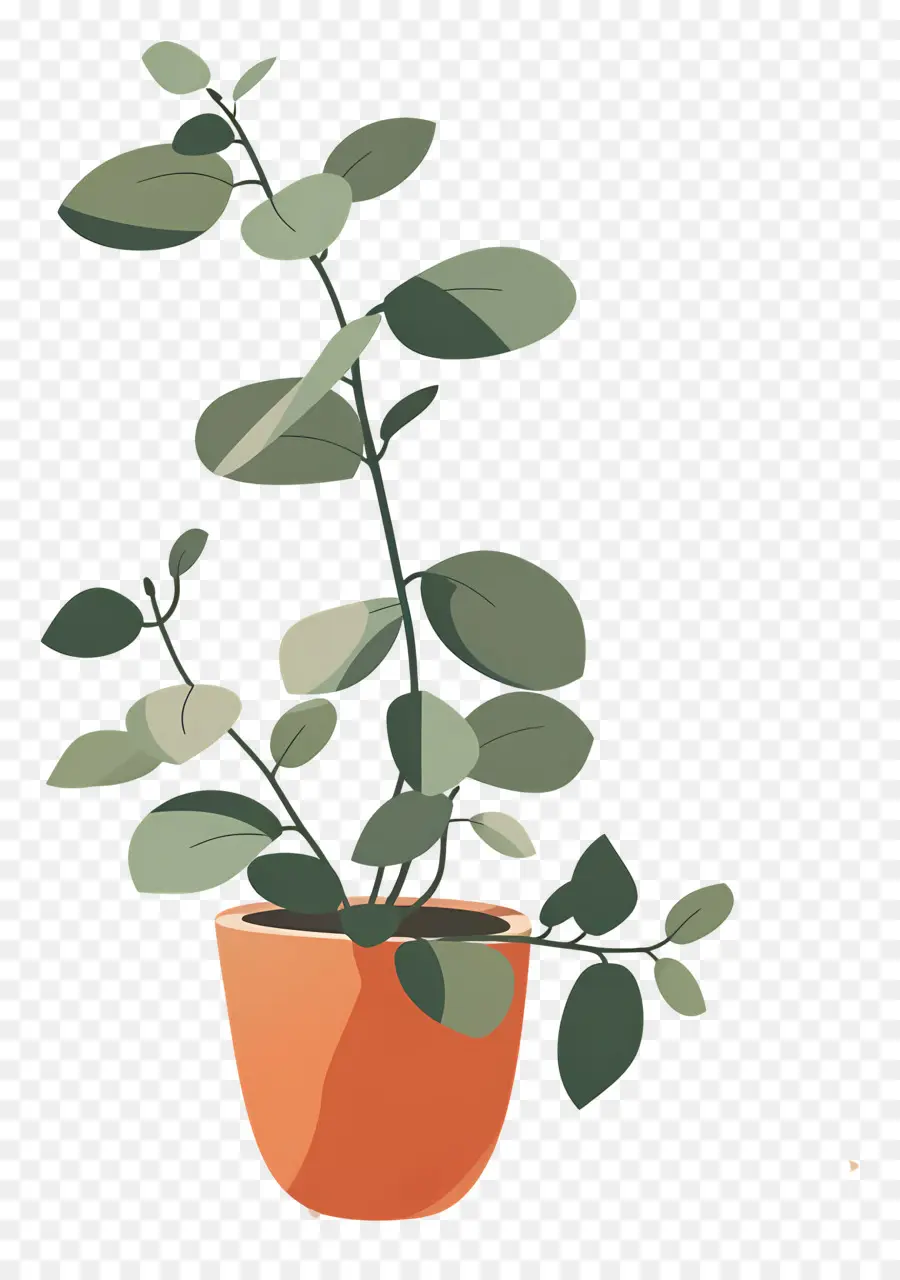 Planta De Interior，Planta En Maceta PNG