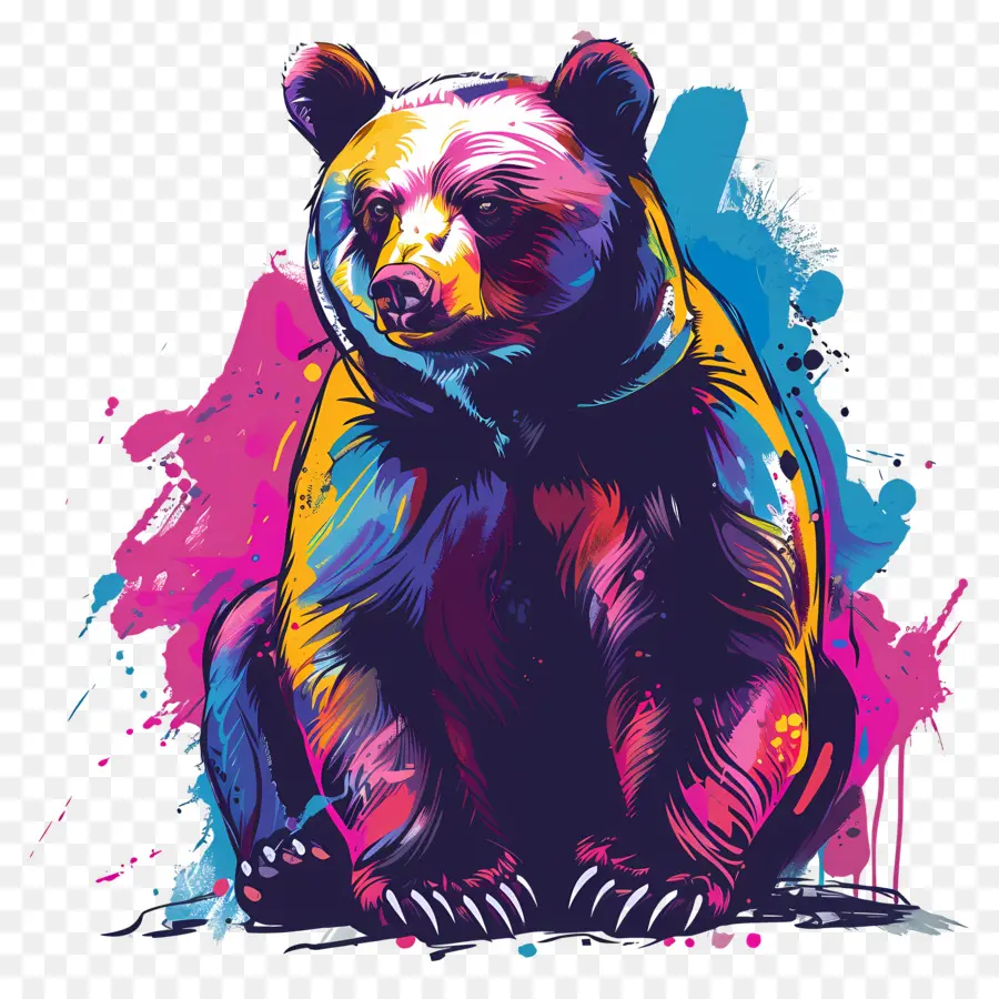 Oso，Oso Colorido PNG