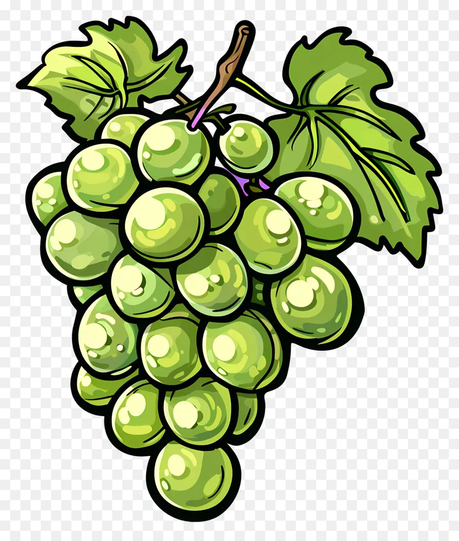 Uvas Verdes，Enredadera PNG