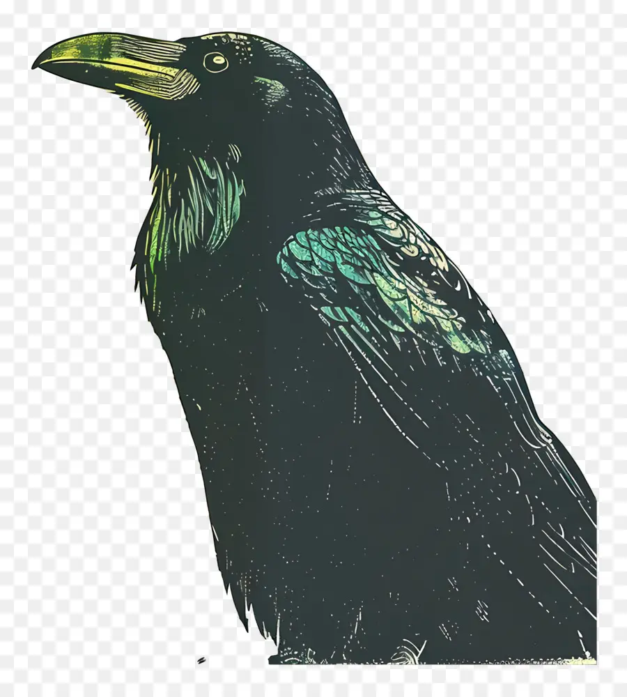 Cuervo，Aves PNG