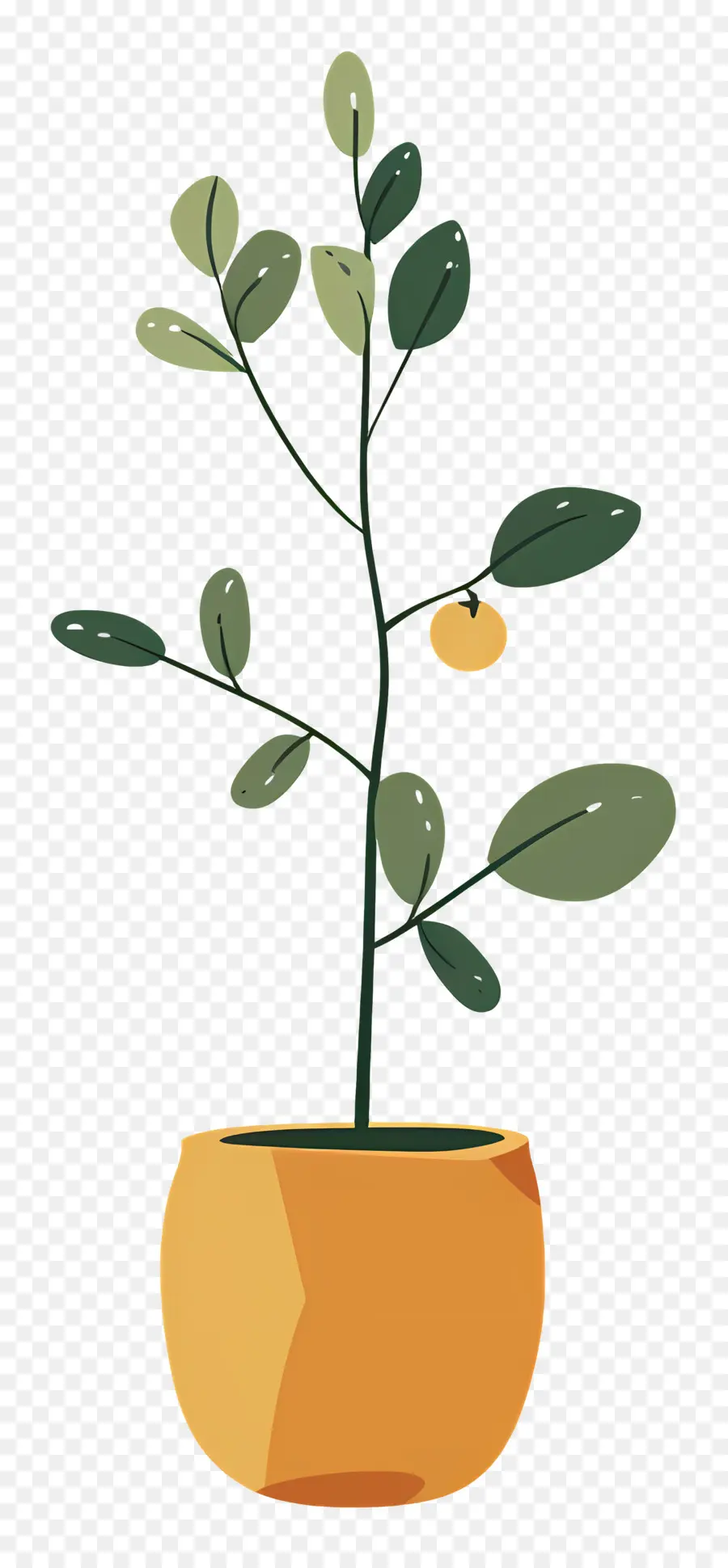 Planta De Interior，Planta En Maceta PNG