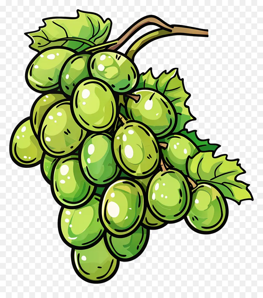 Uvas Verdes，Enredadera PNG