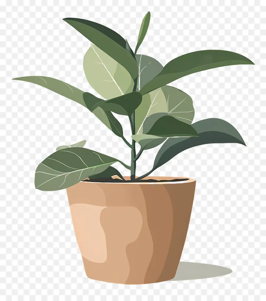 Lata De Planta，Planta En Maceta PNG