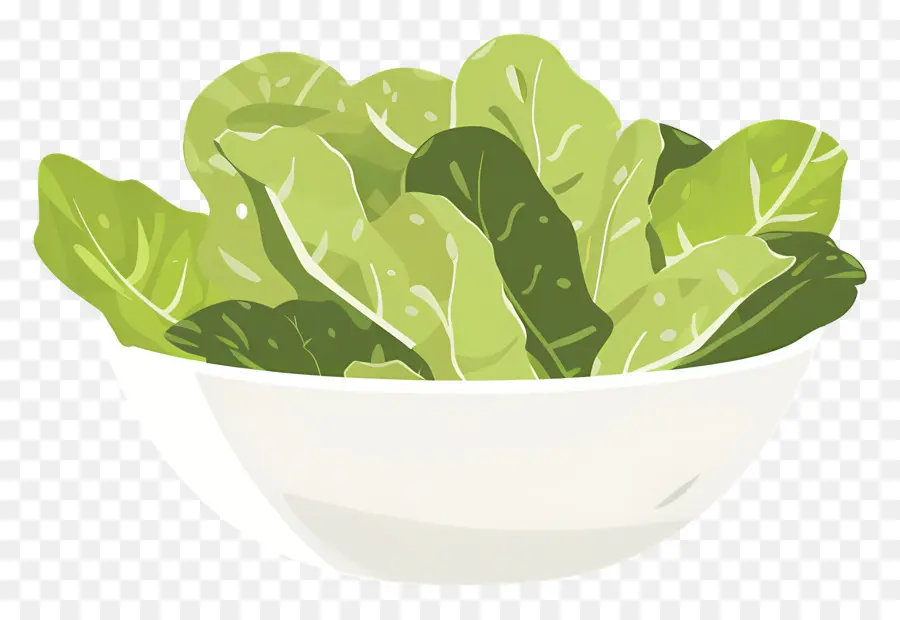 Ensalada，Tazón De Lechuga PNG