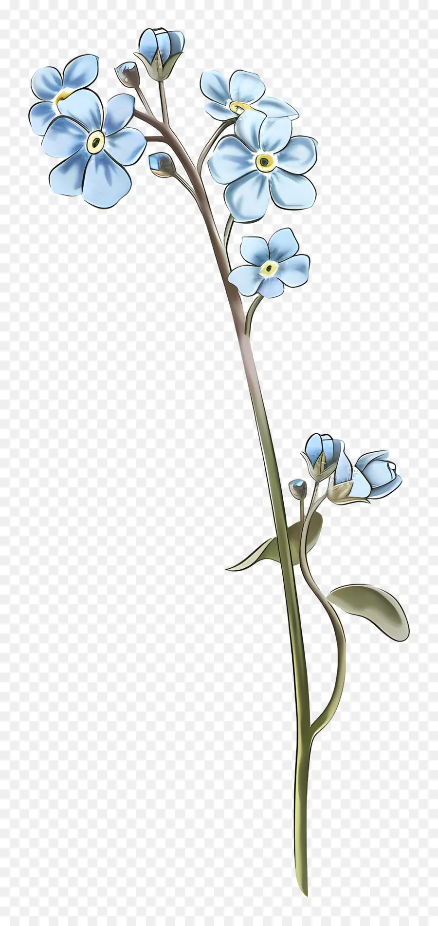 No Me Olvides，Flores Azules PNG