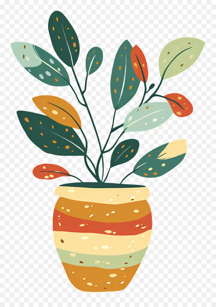 Planta De Interior，Planta En Maceta PNG