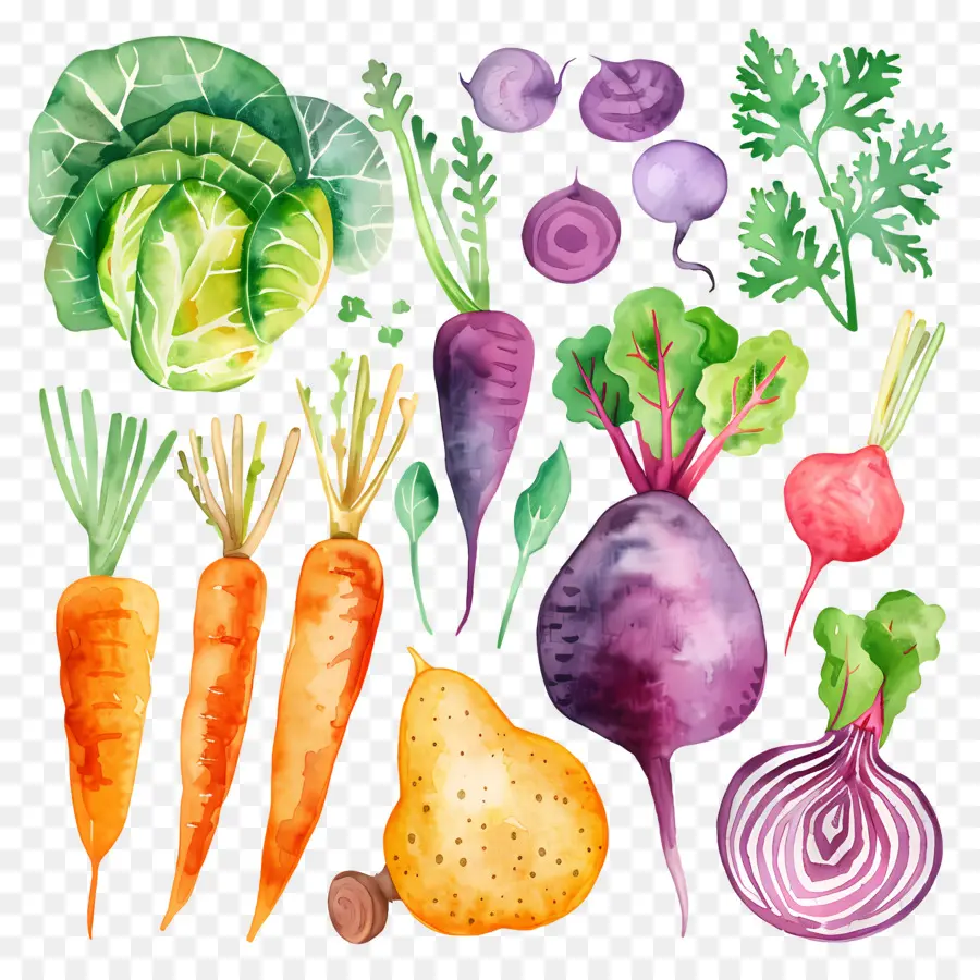 Verduras，Verduras Coloridas PNG