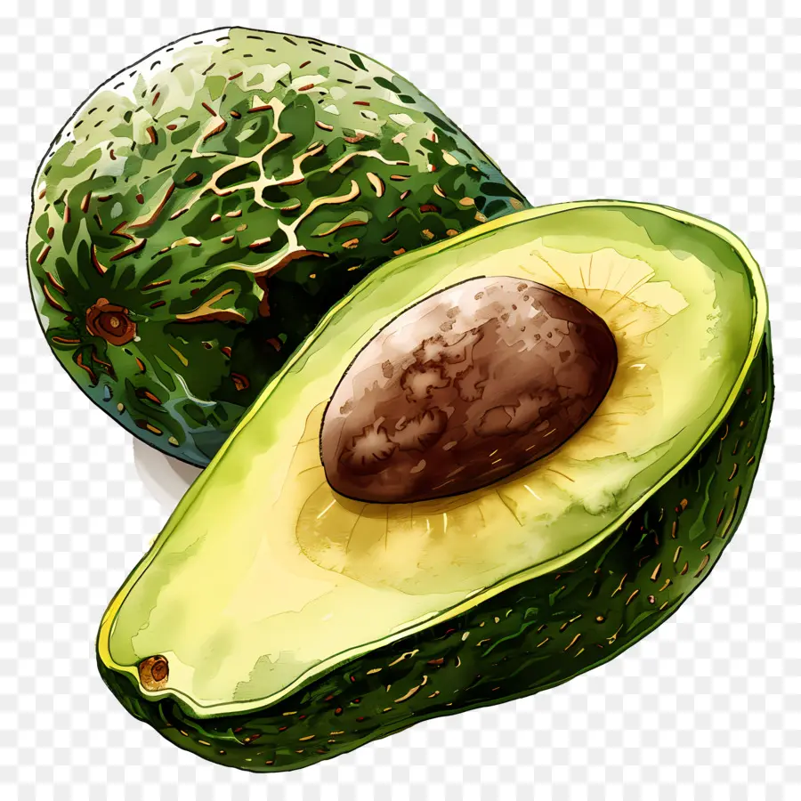 Aguacate，Verde PNG