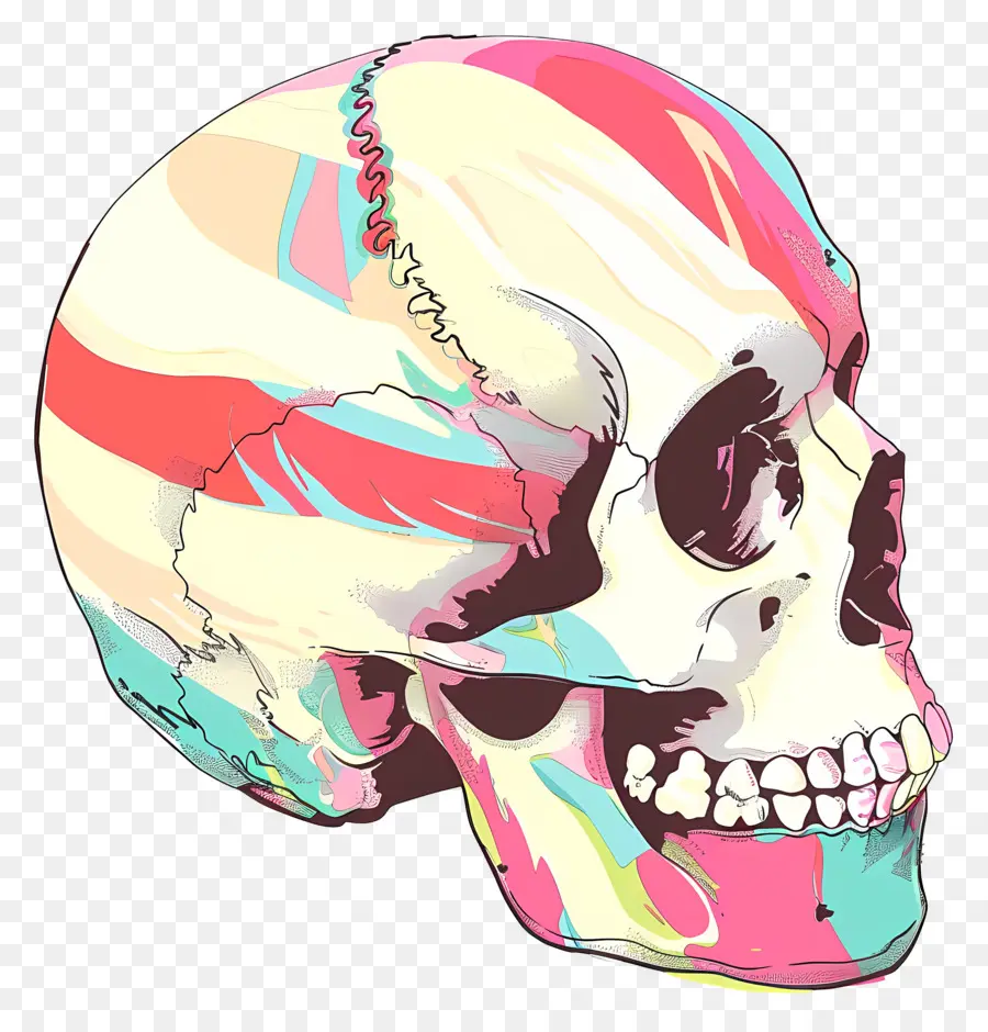 Cráneo，Calavera Colorida PNG