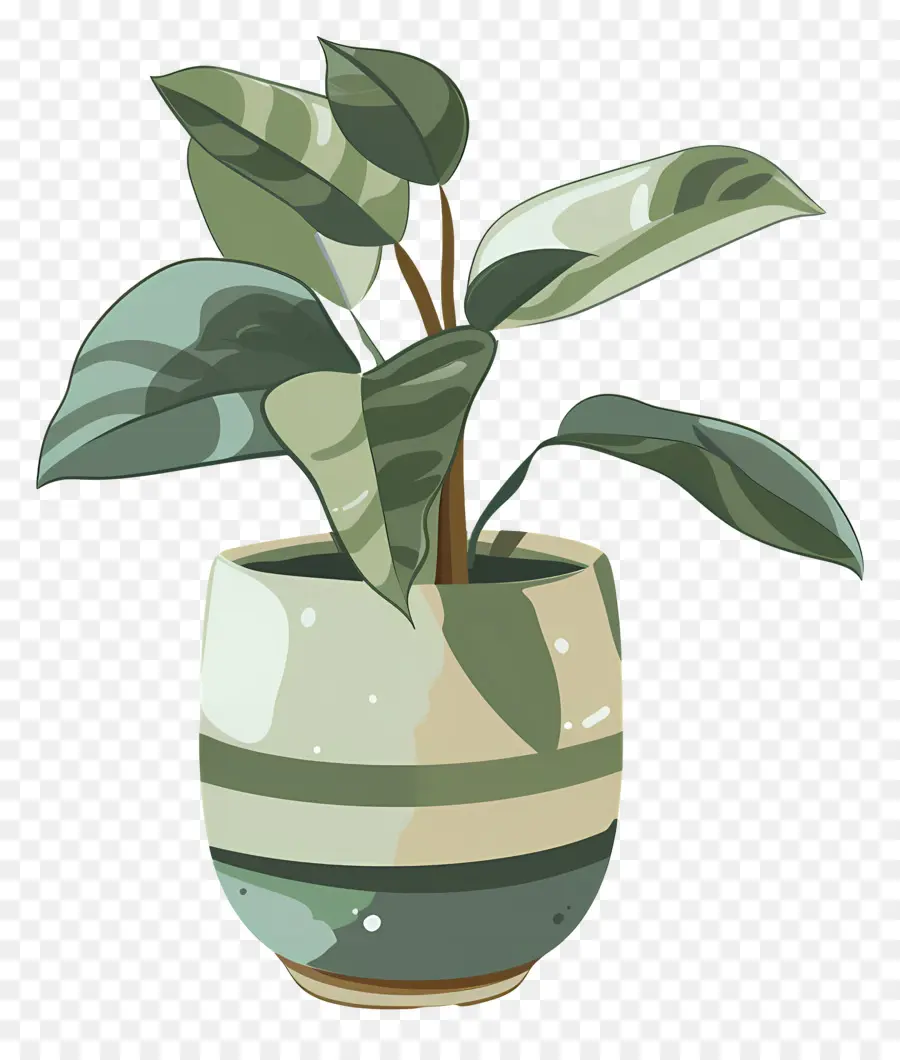 Lata De Planta，Planta En Maceta PNG