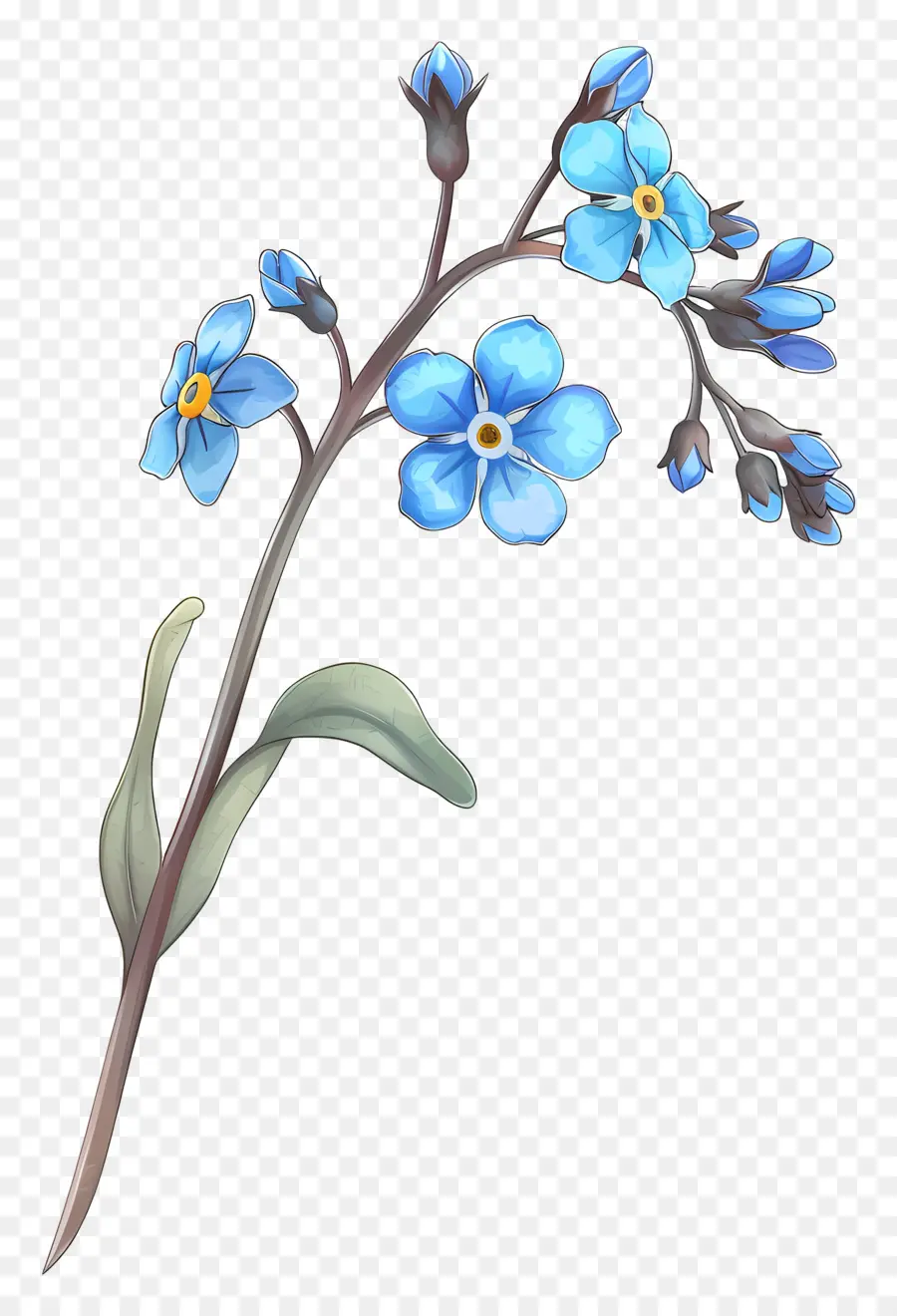 No Me Olvides，Flores De Color Azul PNG