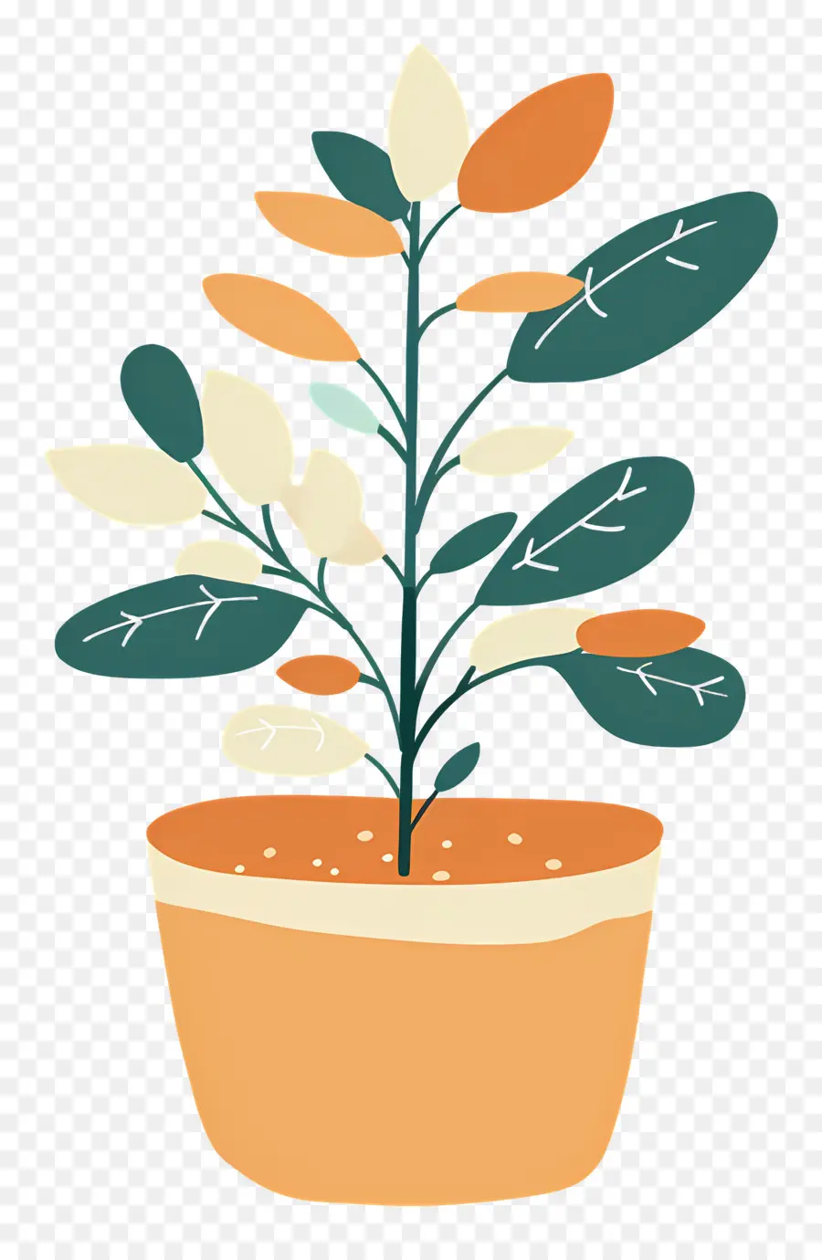 Planta De Interior，Planta En Maceta PNG