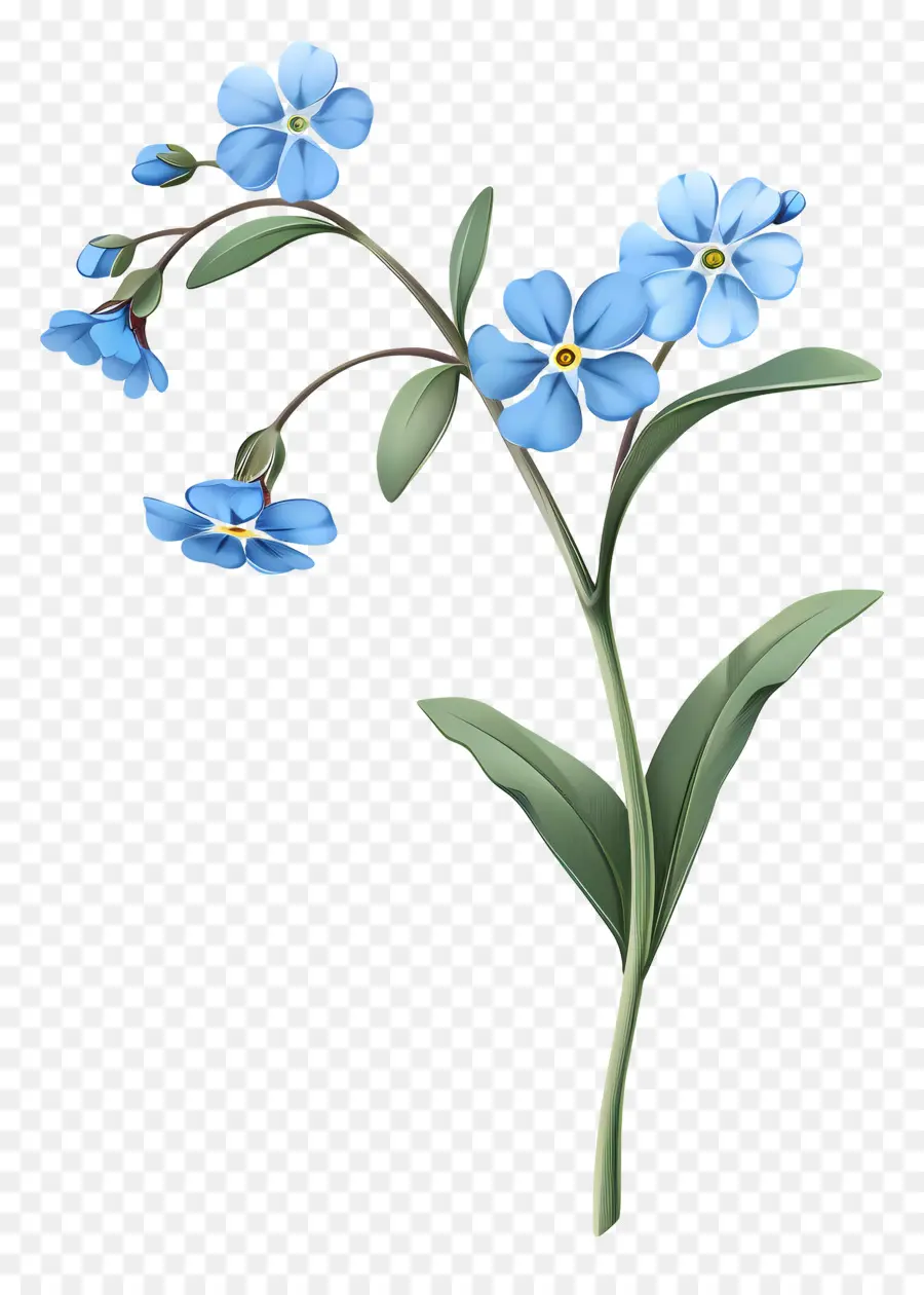 No Me Olvides，Flores Azules PNG