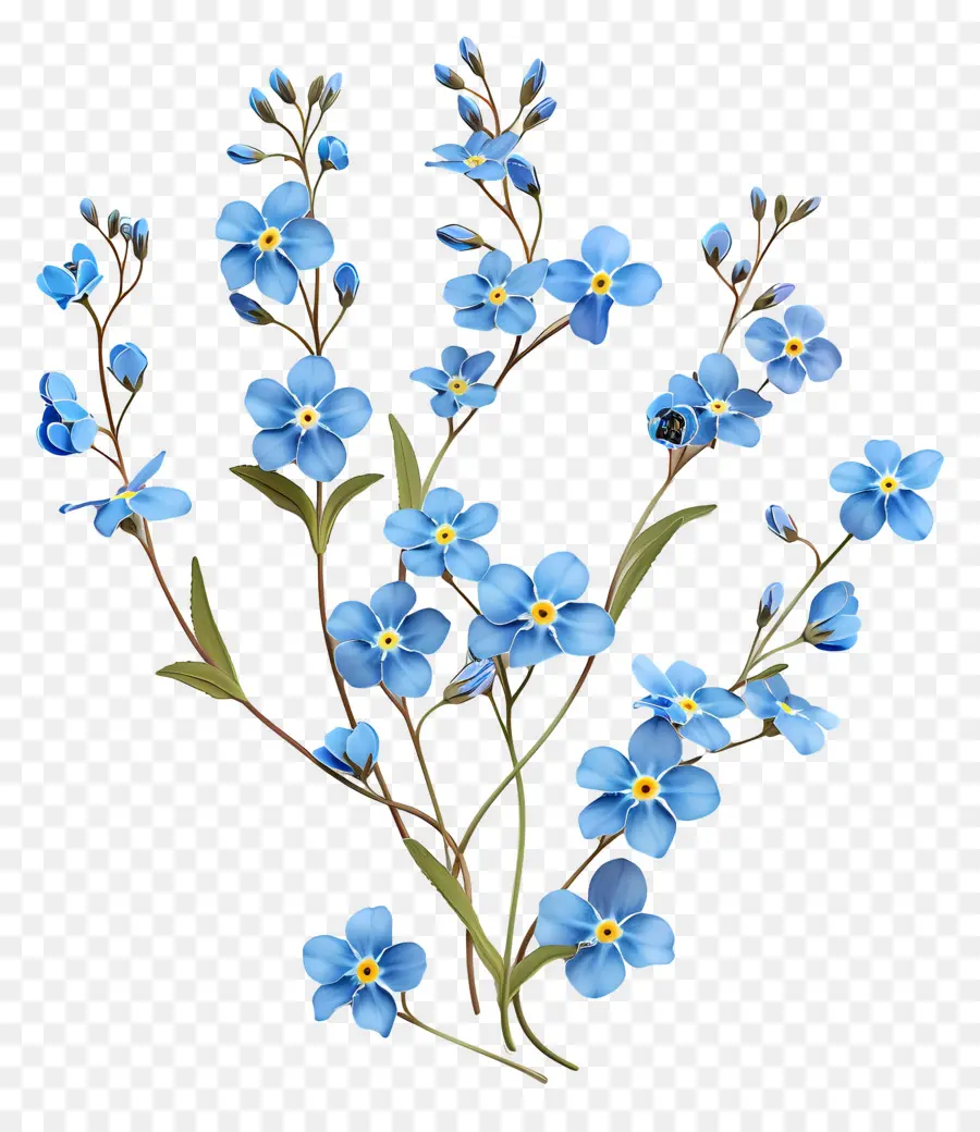 No Me Olvides，Flores Azules PNG