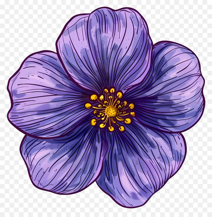 Flor Violeta，Flor PNG