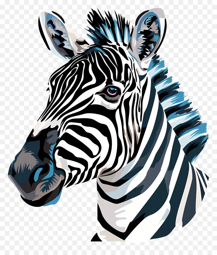 Cebra，La Cabeza Zebra PNG