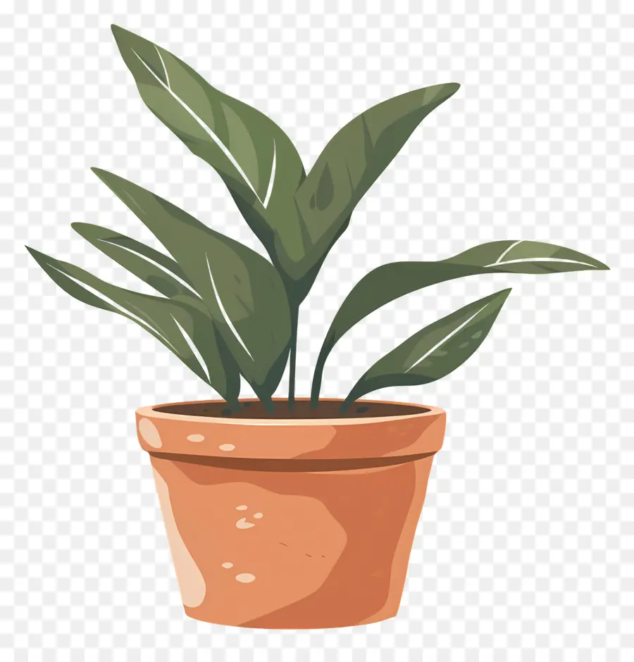 Maceta，Planta En Maceta PNG