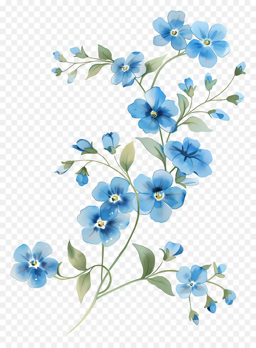 No Me Olvides，Flores Azules PNG