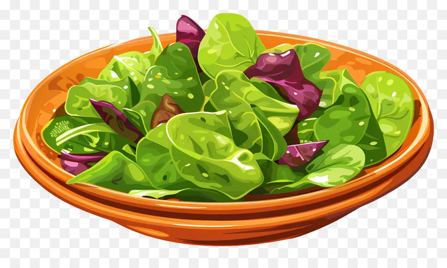 Ensalada Verde，Ensalada PNG