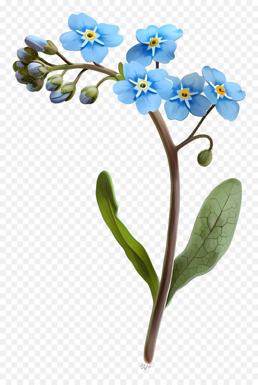 No Me Olvides，Flores Azules PNG