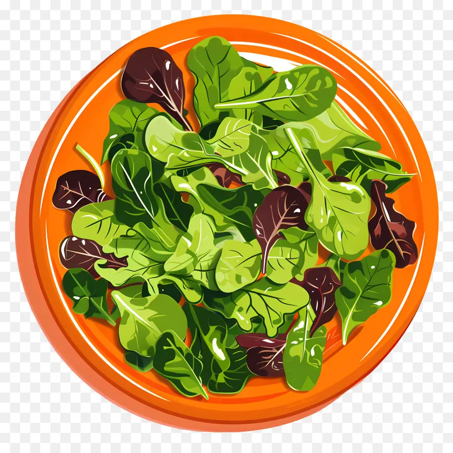 Ensalada Verde，Ensalada PNG