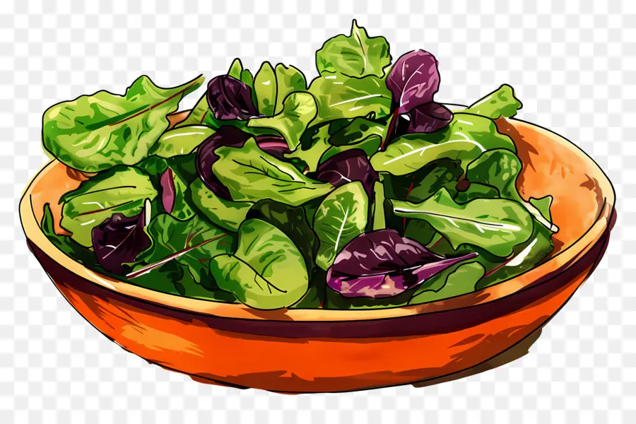 Ensalada Verde，Tazón De Ensalada PNG