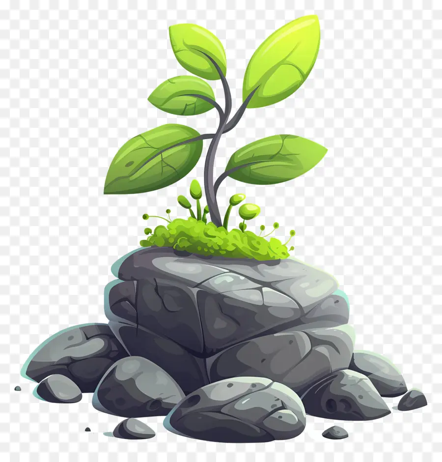 Planta De Musgo，Planta PNG