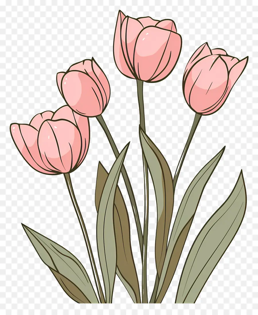 Tulipanes Rosados，Tulipanes Rojos Y Morados PNG