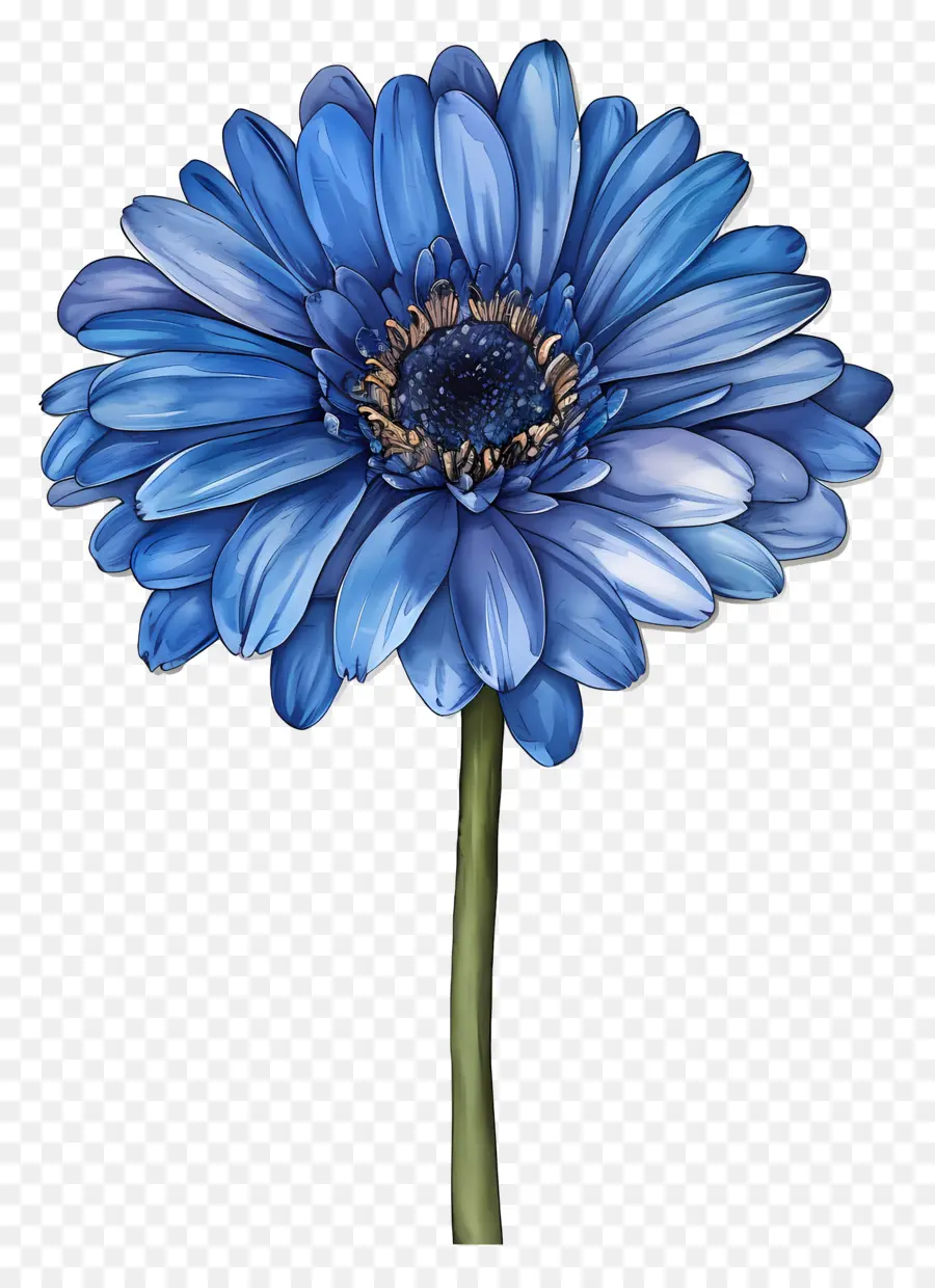 Gerbera Azul，Flor Azul PNG