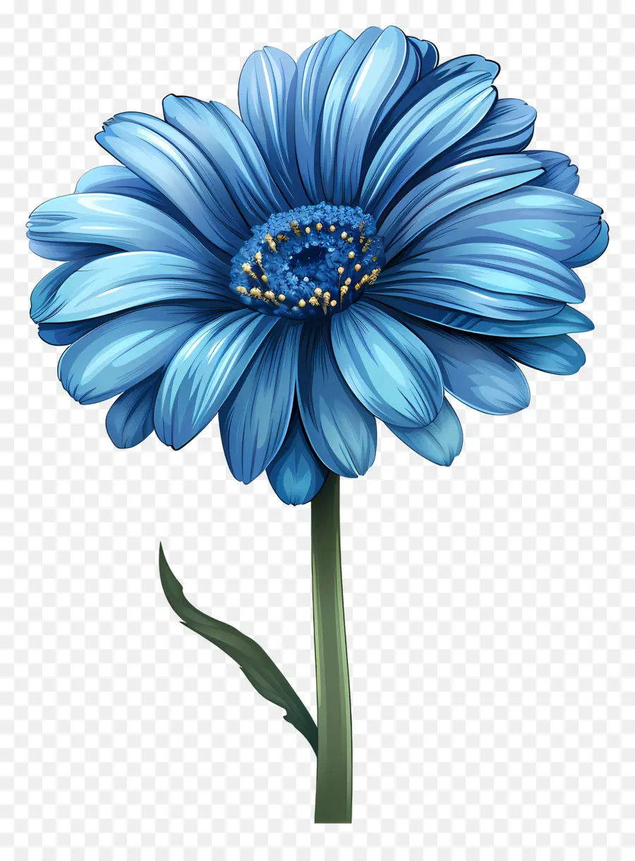 Gerbera Azul，Flor Azul PNG