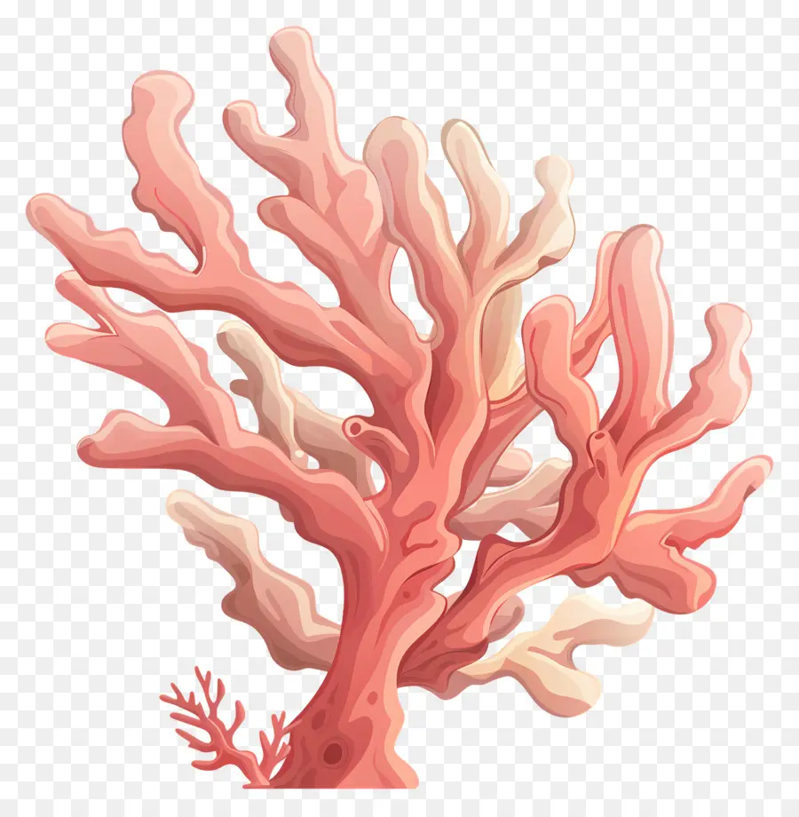 Blanqueamiento De Los Corales，El Coral Rojo PNG