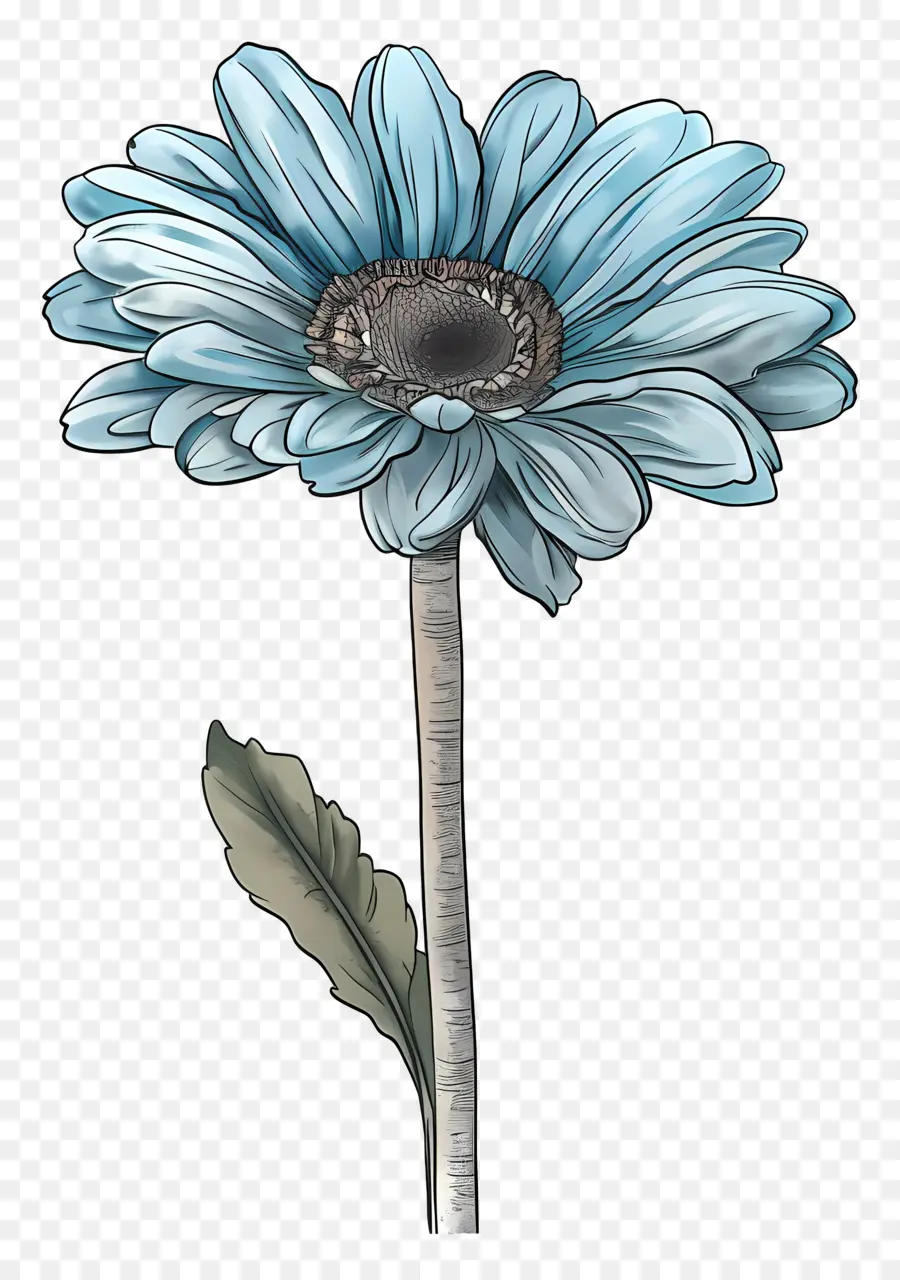 Gerbera Azul，Flor Azul PNG