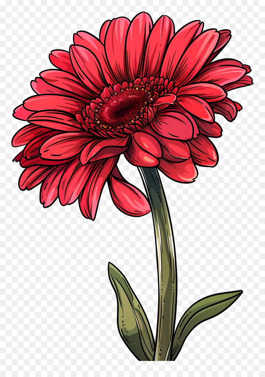 Gerbera Roja，Flor Roja PNG